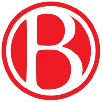 Bronsink Design Logo