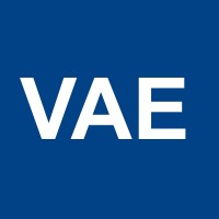 VAE Voluntaris en Assessoria Empresarial Logo