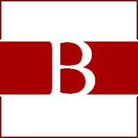 Bruni & Partners Logo