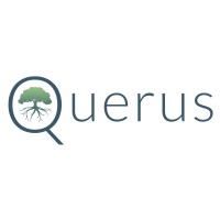 Querus Logo