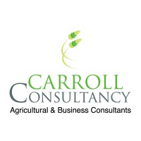 Carroll Consultancy Logo