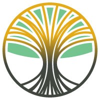 Auringer Connections Logo