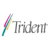 Trident Microsystems Logo