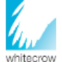 White Crow Logo