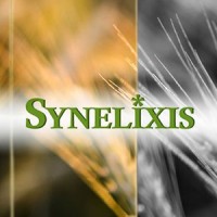 Synelixis Solutions SA Logo