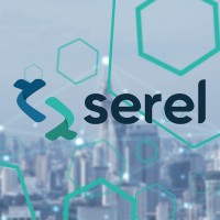 SEREL - Consultoria e Informática Ltda. Logo