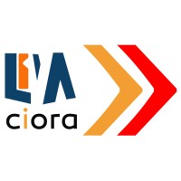 LIVA IT Services Pvt. Ltd. Logo