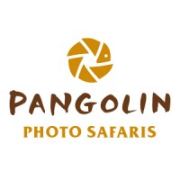 Pangolin Photo Safaris Logo