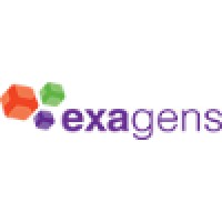 exagens Logo