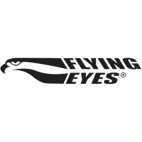 Flying Eyes Logo