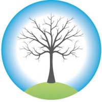 Birchills Telecom Ltd Logo