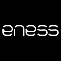 ENESS Logo