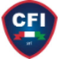 CFI srl Logo