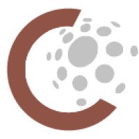 Roman Cristian ChromeSoft I.I. Logo