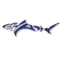 e-Shark S.r.l. Logo