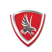 Falcon Insurance Group LLC Logo