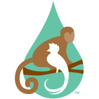 Friends of the Rainforest Logo