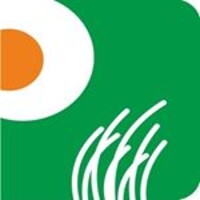 Pinnacle Trades (Pinnacle Brocom Pvt. Ltd., Pinnacle Forex & Securities Pvt. Ltd.) Logo