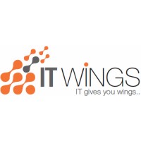 ITWINGS INFOSYSTEM PRIVATE LIMITED Logo