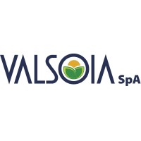 Valsoia S.p.a. Logo