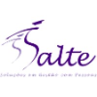 SALTE CONSULTORIA Logo