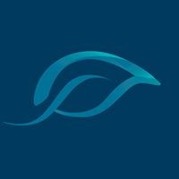 Sara Nelson Design, Ltd. Logo