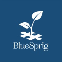 BlueSprig - formerly Shape of Behavior Logo