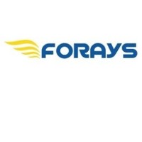 FORAYS SERVICES & CONSTRUCTIONS PVT LTD Logo
