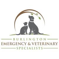 Burlington Emergency and Veterinary Specialists (BEVS) Logo