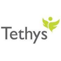Tethys Development Services Logo