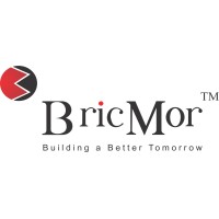 BRICMOR INFRA PROJECTS PRIVATE LIMITED Logo