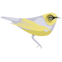 Silvereye Logo