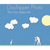 Daytripper Photo Logo