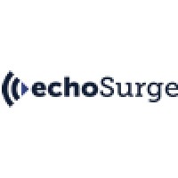 Echosurge Marketing Logo