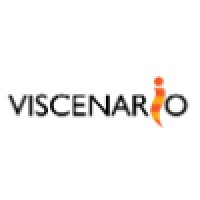Viscenario AS Logo