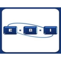 EBI Supply Chain Consulting Logo