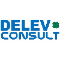 DELEV consult Ltd. Logo
