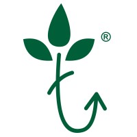 TURNAROUND CORPORATE ADVISORS PRIVATE LIMITED Logo