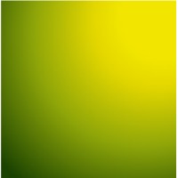 Aceline Info Solutions Private Limited Logo
