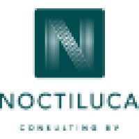Noctiluca Consulting B.V. Logo