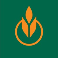 The Culinary Institute of America Logo