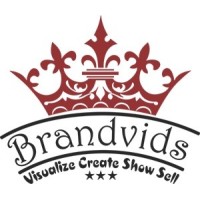 Brandvids Infotech Pvt Ltd Logo