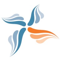 Creative Intelligence PL Logo