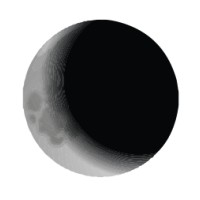 Lunar Branding®️ Logo