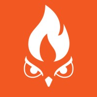 Energy Hawk Logo