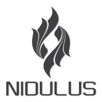 Nidulus Logo