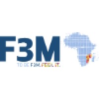 F3M Moçambique - Information Systems Logo