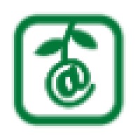 Best Thinking Logo