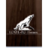 LOWE-BO Homes Logo