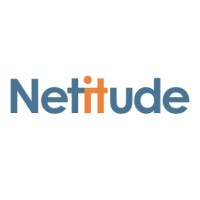 Netitude Ltd | IT Support Experts | Microsoft Gold Partner Logo